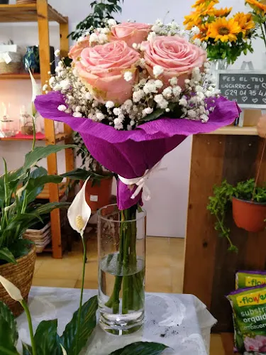 Alba Flors - Manresa