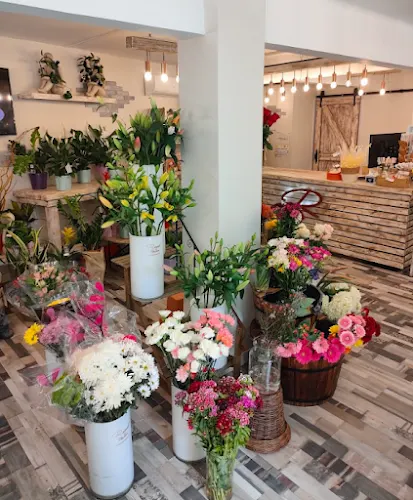 Raquel Floristeries - Flores a Domicilio - L'Hospitalet de Llobregat