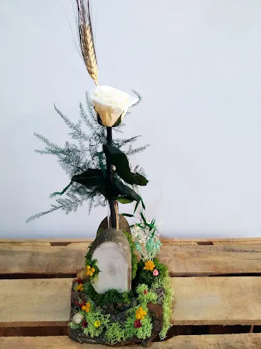 Floristeria Pretele - Igualada