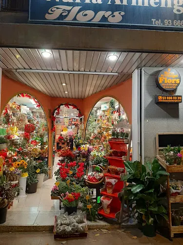 Flors Núria Armengol - L'Hospitalet de Llobregat