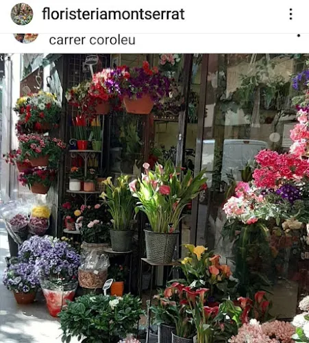 Floristeria Montserrat