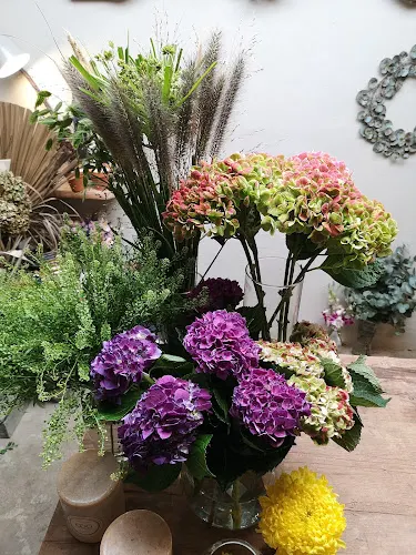 flōs estudi floral