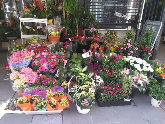 Floristería Neus - L'Hospitalet de Llobregat
