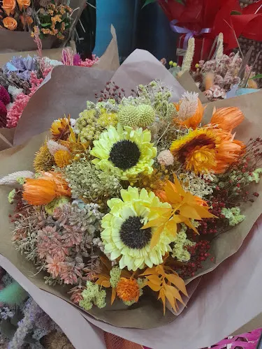 Flores y Plantas El Trèbol - L'Hospitalet de Llobregat