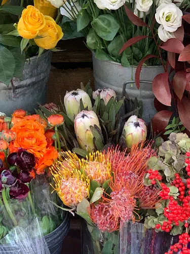 Flores Benzal