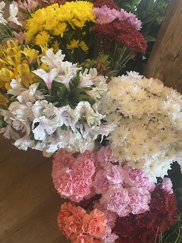 Floristeria Cornella Rosistirem - L'Hospitalet de Llobregat