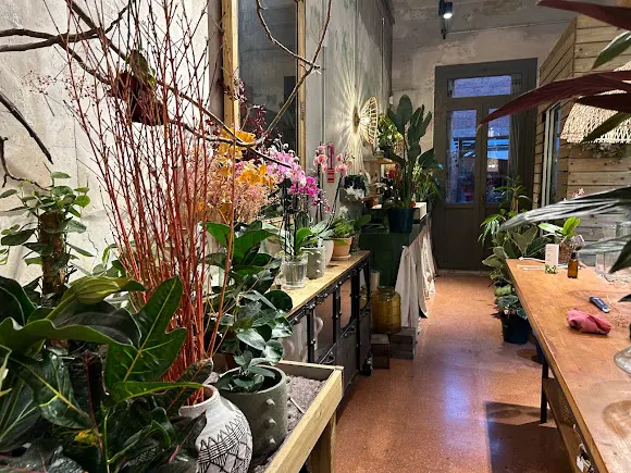 Tulip Cafè i Flors | Floristería Granollers - Granollers