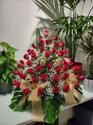 flors mia - L'Hospitalet de Llobregat