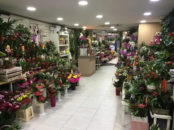 Floristería Iris