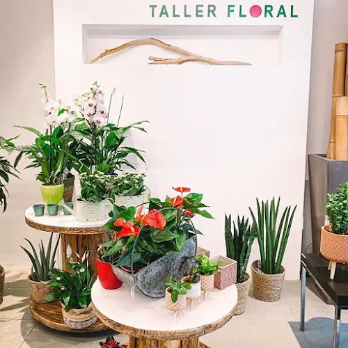 Läis Taller Floral - Vilassar de Mar