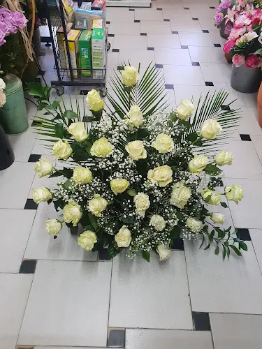 Floristería Peñaranda - Penaranda de Bracamonte