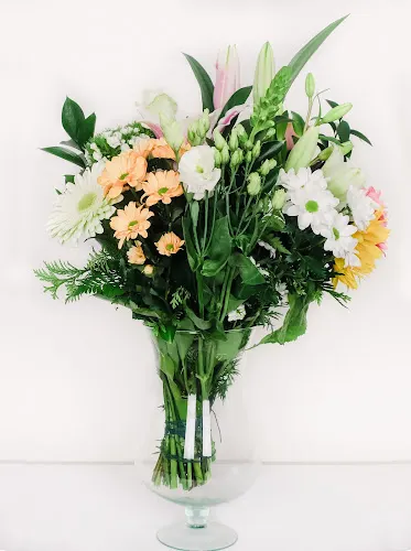Floristería Europa - Burgos