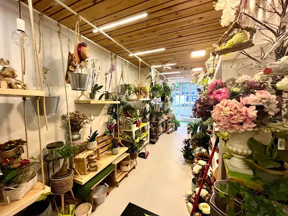 Floristería El Bosque de Marie - Burgos