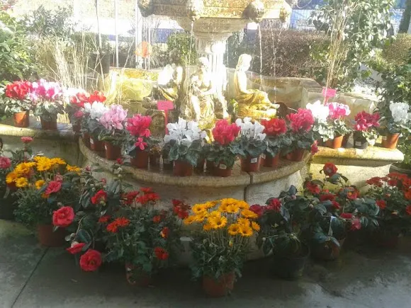 Castilla Floristería. Centro de jardinería - Burgos
