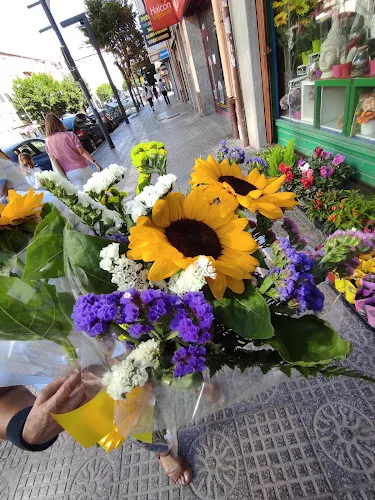 Floristería Marisol - Burgos