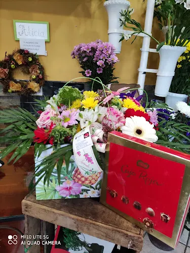 Floristería Érica Burgos - Burgos