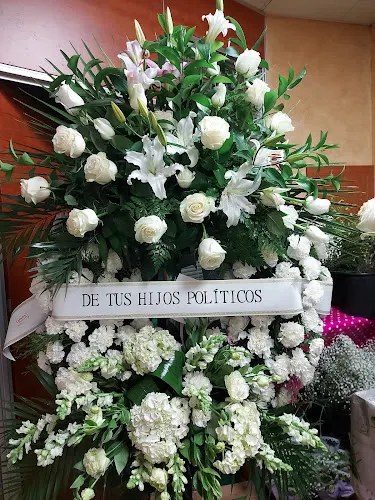 Carmen Artesanía Floral - Burgos