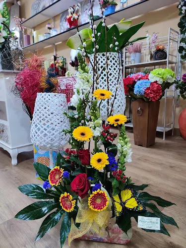Floristería Hogar y Plantas - Briviesca
