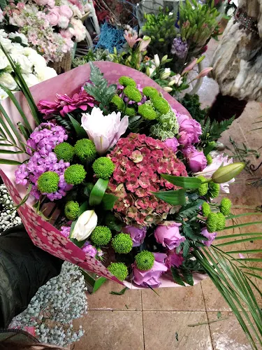Citores Flor - Burgos