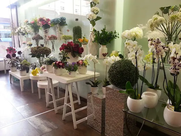 Floristería Julia - Burgos