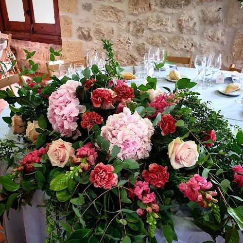 Cultura de Flor - Burgos