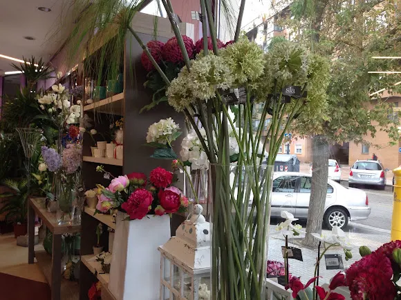 Castilla Floristería - Burgos