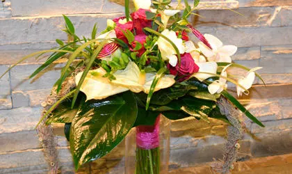 Kentya Floristas - Villarcayo de Merindad de Castilla la Vieja
