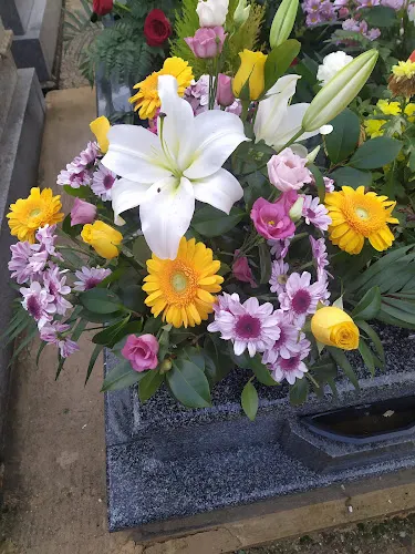 Floristeria Vegaflor - Burgo de Osma-Ciudad de Osma