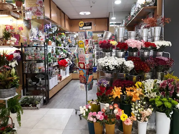 Flores Toñi