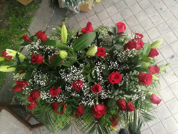 Flores y Plantas Hnos Suarez - Madrid