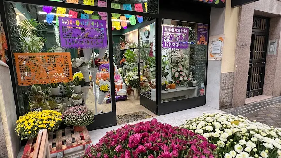 La Casa de Las Flores