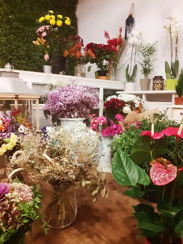 Floristería MiPiti - Madrid