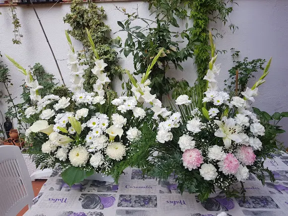 Floristeria Alba - Madrid