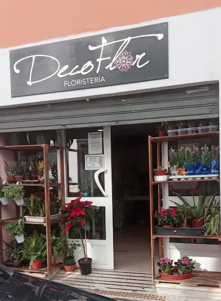 Decoflor Tarifa - Tarifa