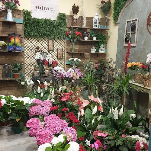 Floristería Mifra - Puerto Real