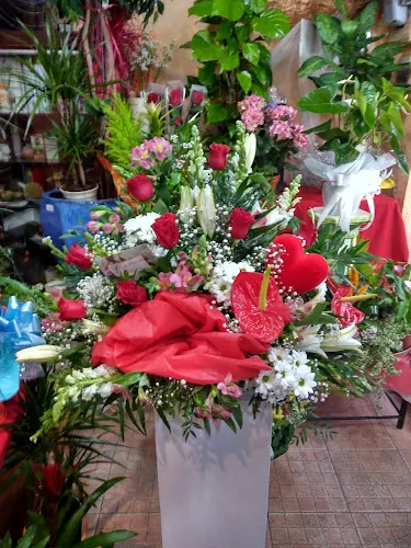 Floristería Hnos Olmedo - Rota