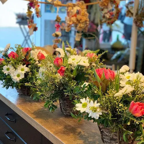Floristería Cotton Candy - Conil de la Frontera