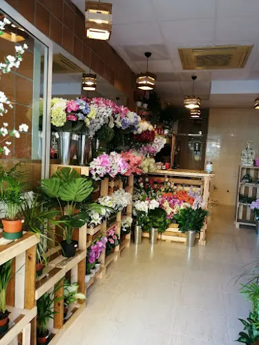Floristeria El Bouquet - Algeciras