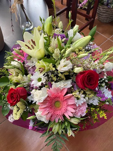 FLORISTERÍA SOL Y FLOR - Algeciras