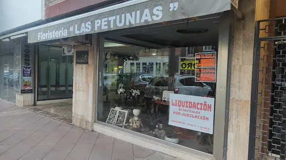 Floristería Las Petunias - Algeciras