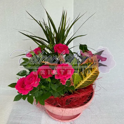 Floristería Estrechoflor - Algeciras