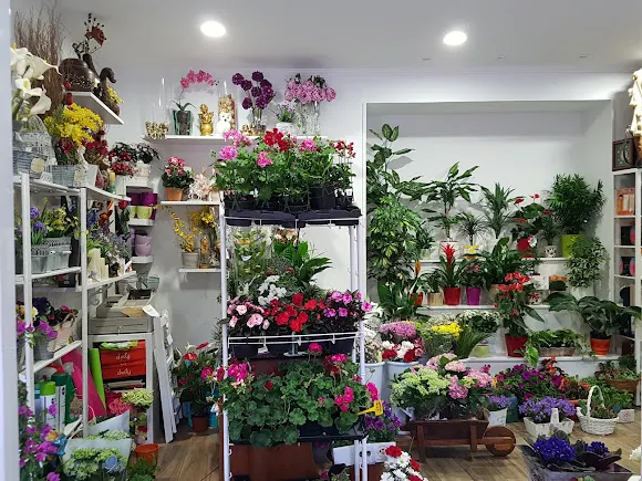 Floristería El Trébol - Comillas