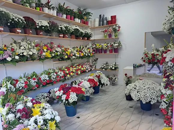 Flores y plantas Karolina - Ampuero