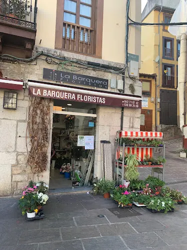 LA BARQUERA FLORISTAS - San Vicente de la Barquera