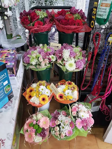 FLORISTERIA AVENIDA - Bareyo