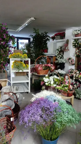 Floristería Ana - Laredo