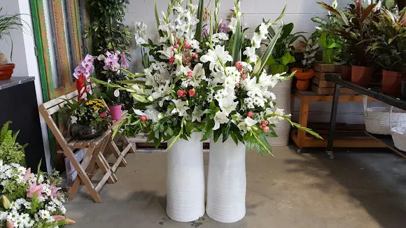 Mora Floristas - Camargo