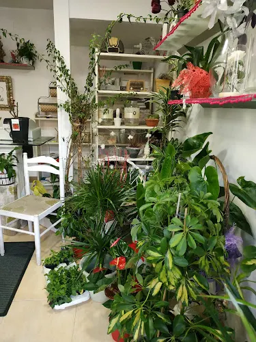 Floristería Maku - Santoña