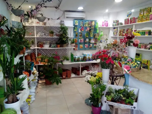 la Floristeria - Noja