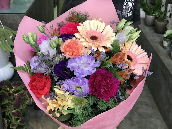 Floristería Espai Vegetal en Plaza Santa Clara - Castellón de la Plana